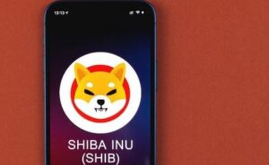 shiba inu opiniones reviews