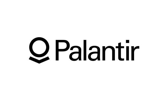 palantir a que se dedica big data